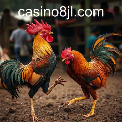 The Dynamic World of Sabong Games: A Culture of Competition and Controversy